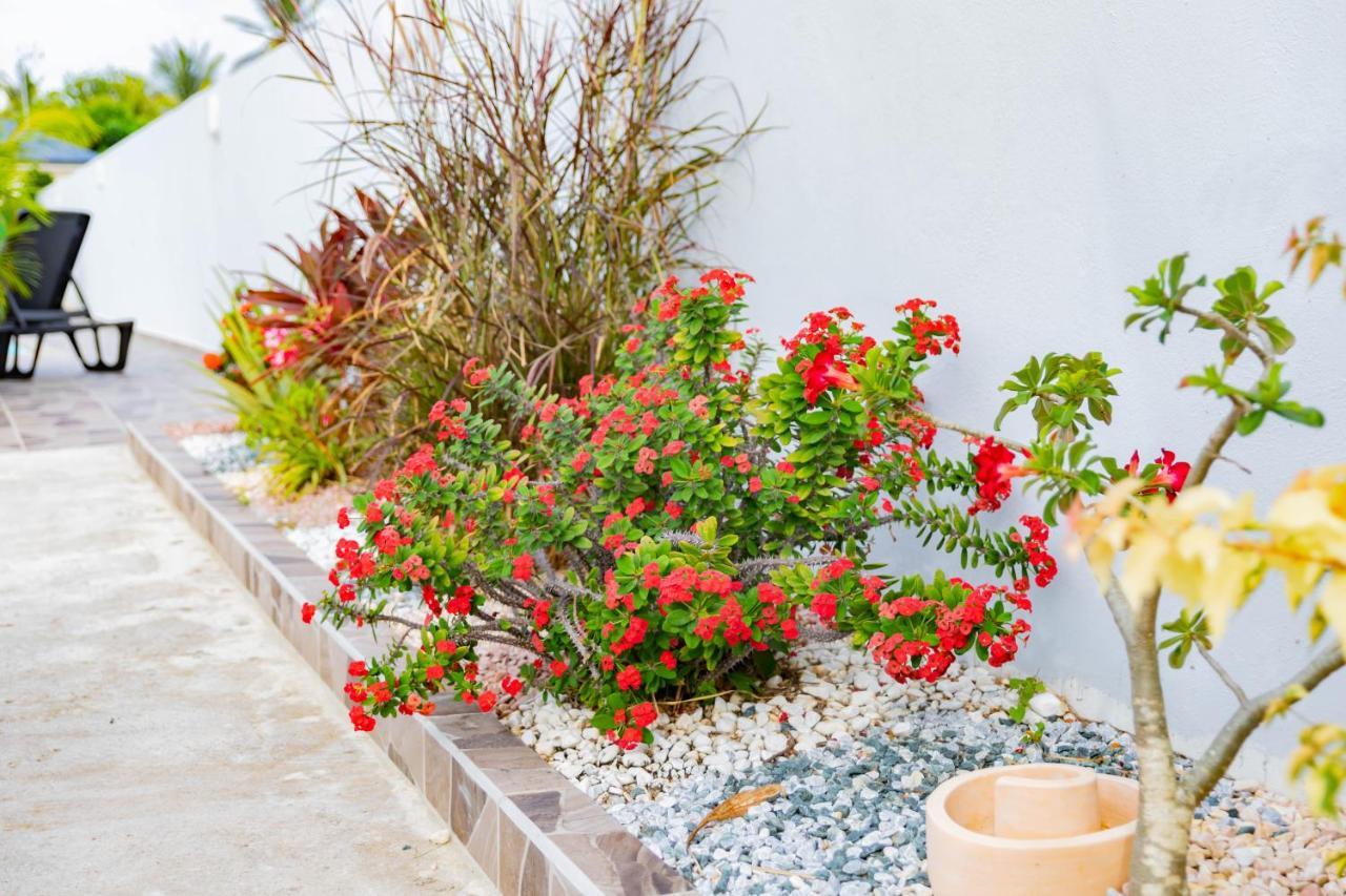 Promo ! Les Paisibles Villas C & G Richeplaine 外观 照片